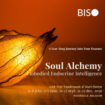 Soul Alchemy - Embodied Endocrine Intelligence Soul Alchemy - Embodied Endocrine Intelligence